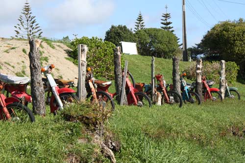 Scooter fence