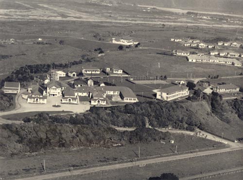 Westland and Seaview hospitals