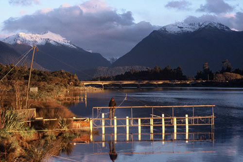 Whitebait stands, Ōkuru estuary 