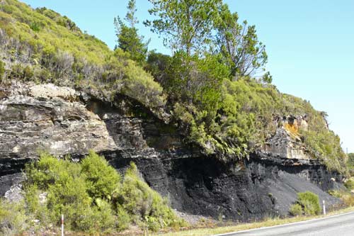 Roadside coal