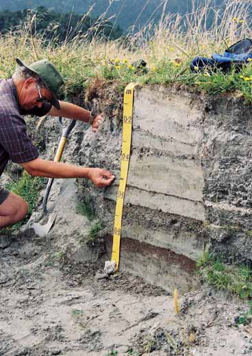 Recent soil, near Franz Josef