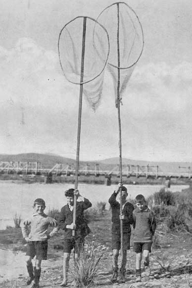 Boys with nets 