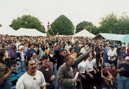 Protestors at Pākaitore 