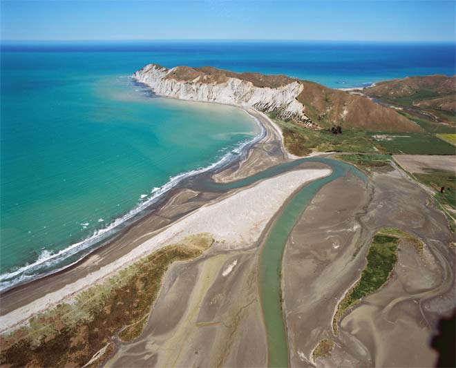Te Kurī-a-Pāoa