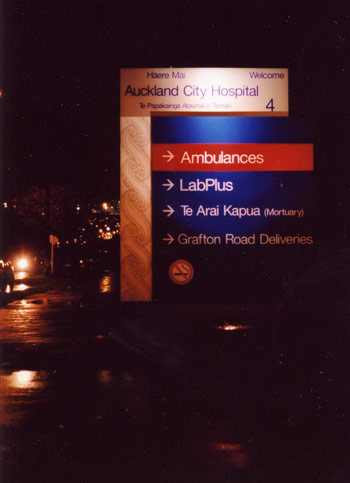 Auckland city hospital