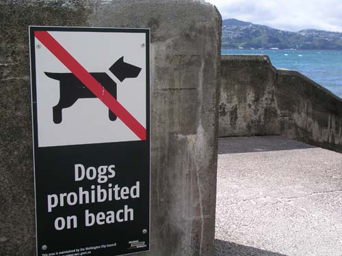 By-law notice