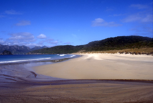 New Zealand’s varied coastline 