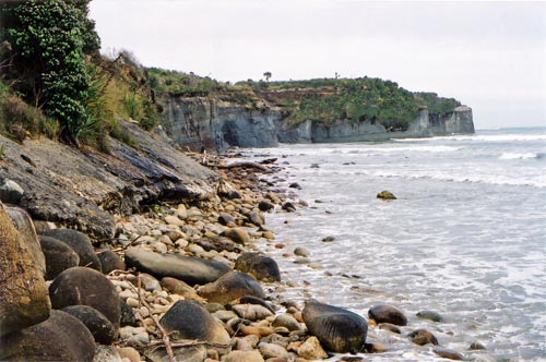 Rocky shores 