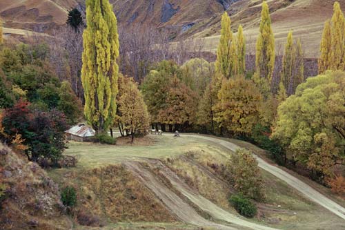Autumn, Macetown, Central Otago 