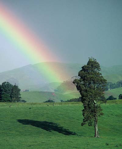 The climate and the land 