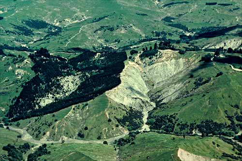 Erosion on East Coast hill country