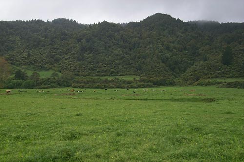 The pā of Tūhoe-pōtiki