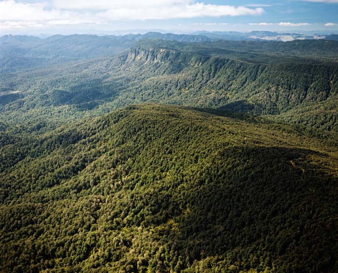 Maungapōhatu, Urewera