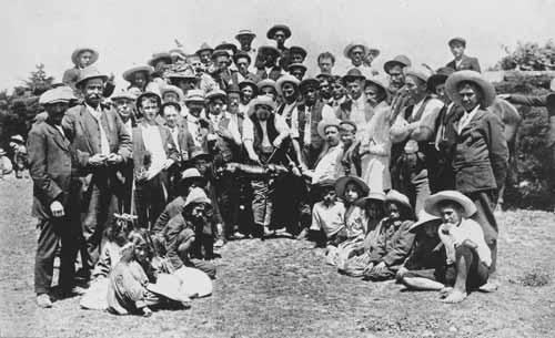 Dalmatians and Māori at Houhora