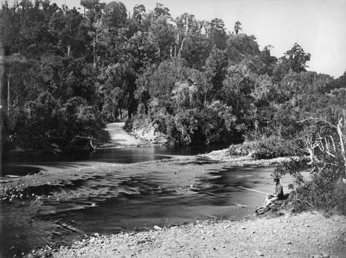 Forty Mile Bush in the 1870s