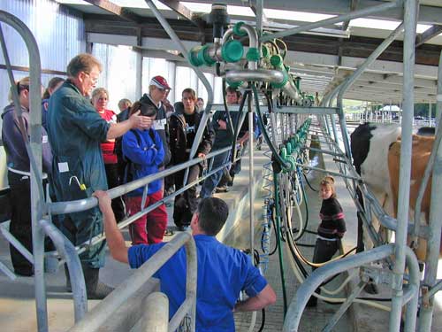 Milking shed