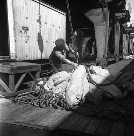 Loading beef, Wellington wharves, 1945