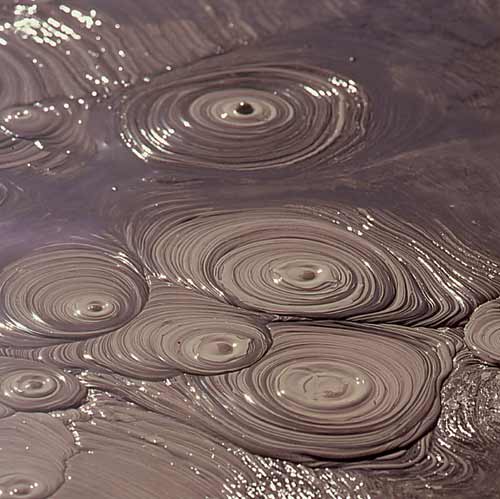 Mud pools, Whakarewarewa 