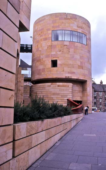 Gorse hedge at the Museum of Scotland, Edinburgh