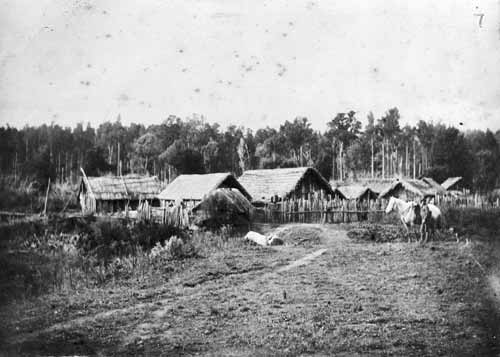 Te Kūiti pā