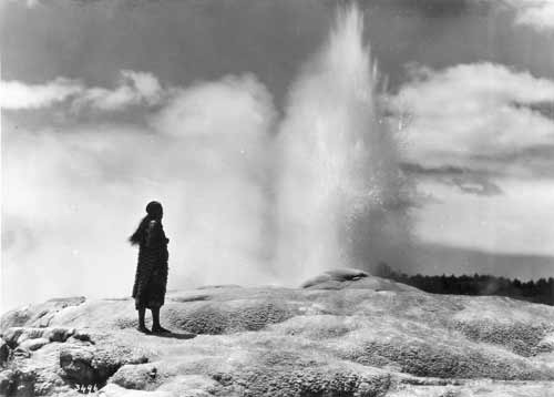 The Waikite Geyser 