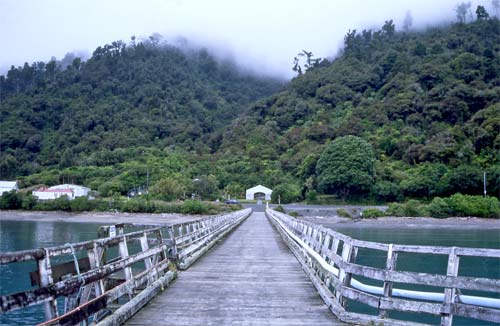 Jackson Bay, 2004 