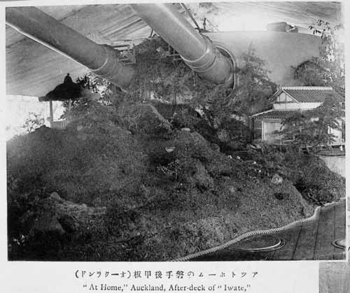 A garden on board 