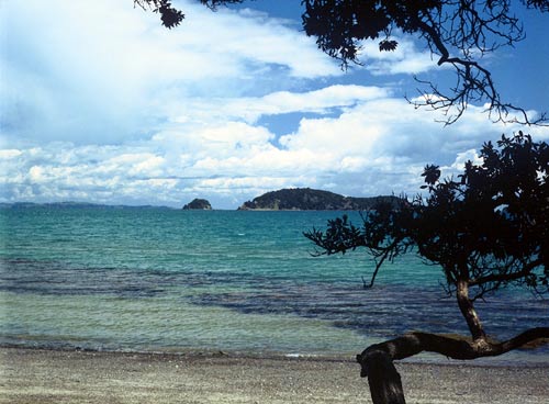 Whitianga Harbour, Coromandel Peninsula