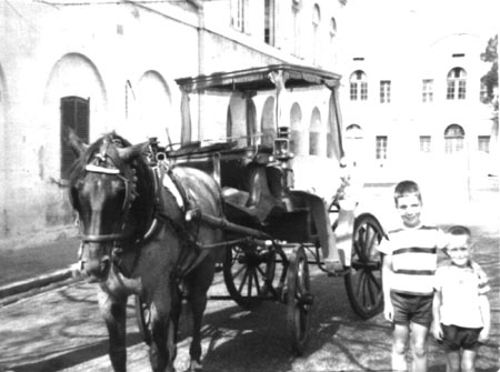 Two young boys next to horse and cart