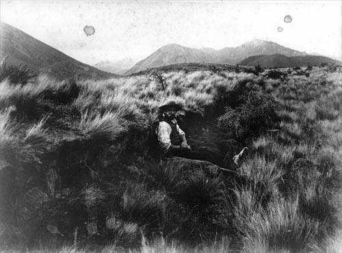 1888 earthquake rupture
