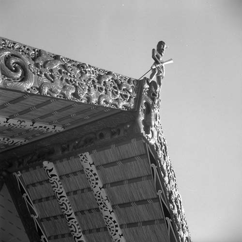 Te Kaha marae