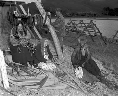 Drying eels 