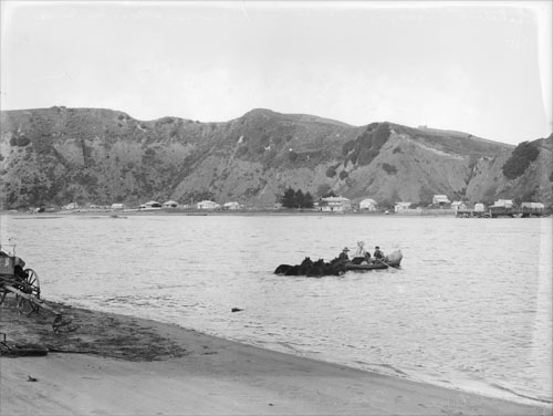 Crossing the Whakatāne River