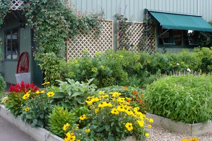 Kings Seeds in Katikati