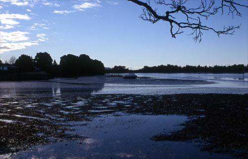 Shallow waters at Athenree