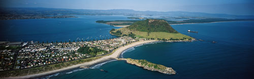 Matakana Island