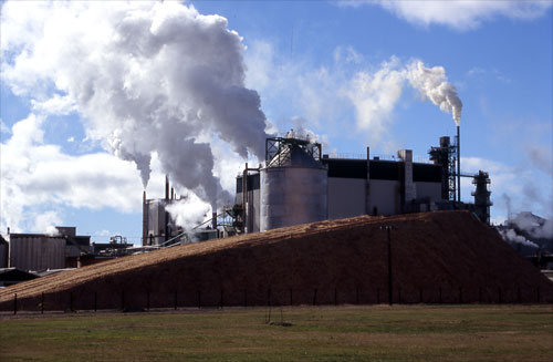 Tasman Pulp and Paper mill