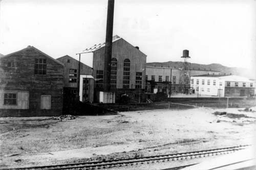 Whakatāne timber mill