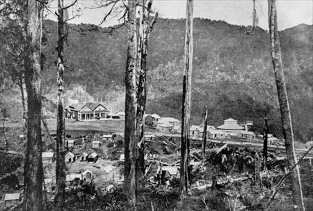 Maungapōhatu settlement 