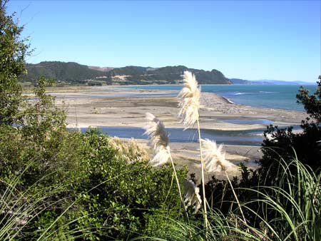 Mōtū River estuary