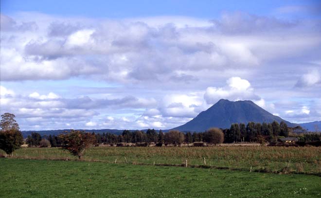 Pūtauaki