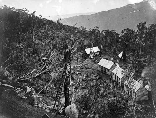Miners’ houses, Denniston