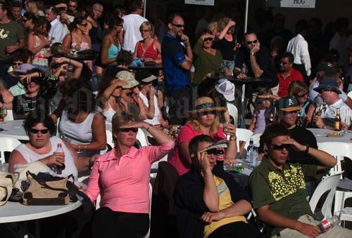 Wine and Food Festival