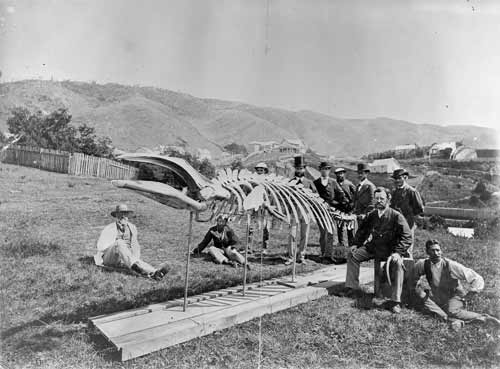 Colonial Museum staff