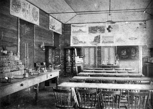 Coromandel School of Mines