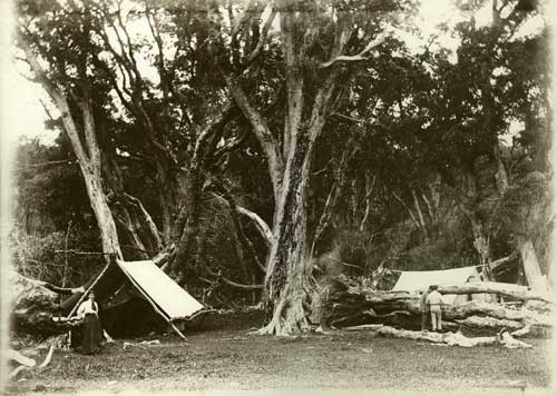 Waihī camp 
