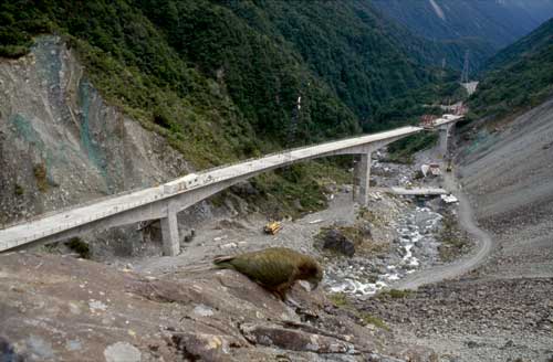 Ōtira viaduct 
