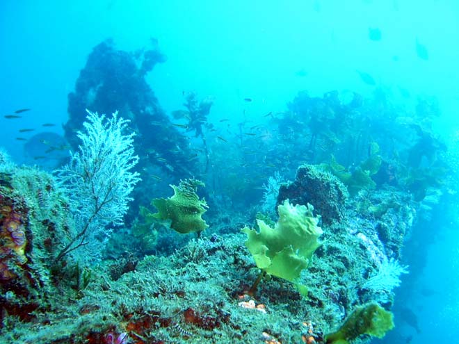 Artificial reefs 