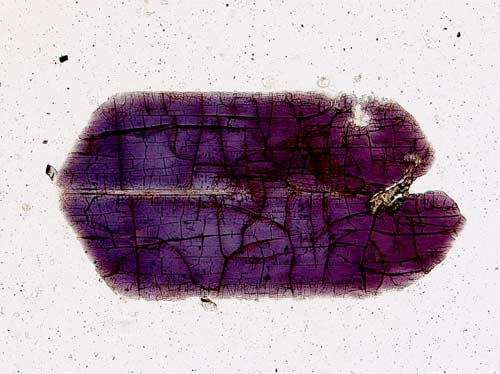 Microscopic view of tuhualite 