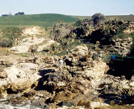 Akatoreite locality 